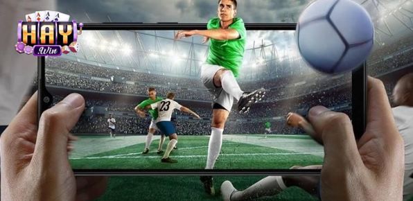 Ý nghĩa của hai dấu (+) và (-) của kèo châu á là gì?